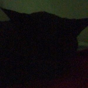 Meet your Posher, Medo